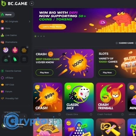 Unlocking Opportunities Exploring the BC Game No Deposit Bonus